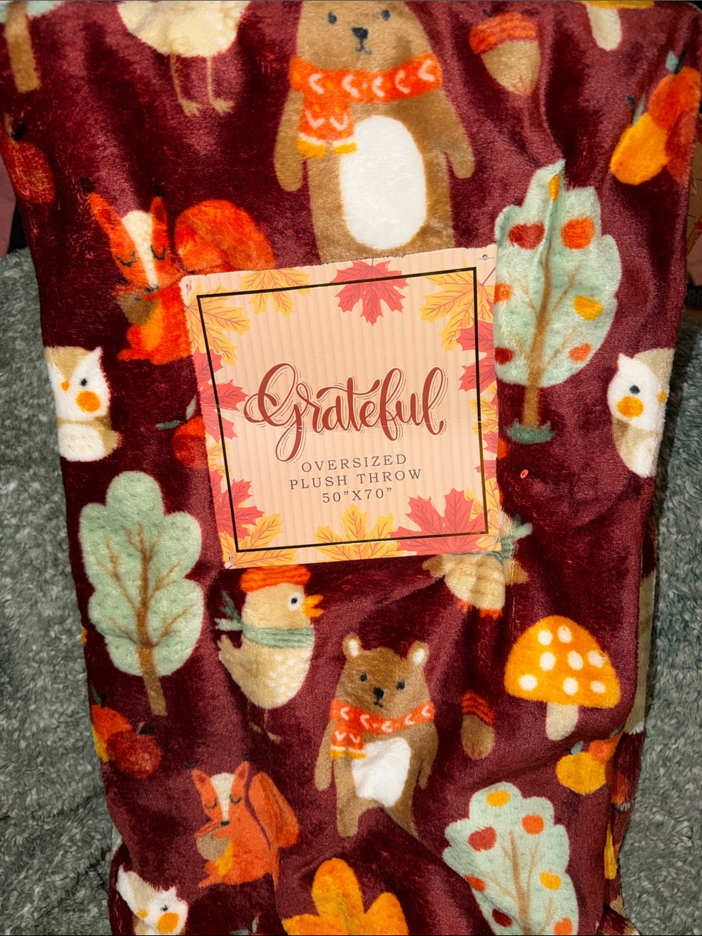 Brand New on hanger 50”x70” Adorable Fall Plush Throw Blanket!